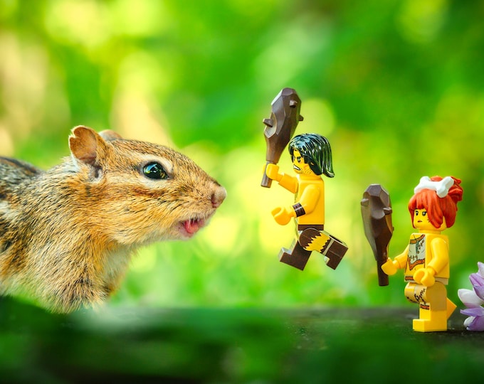 Chipmunk VS Caveman
