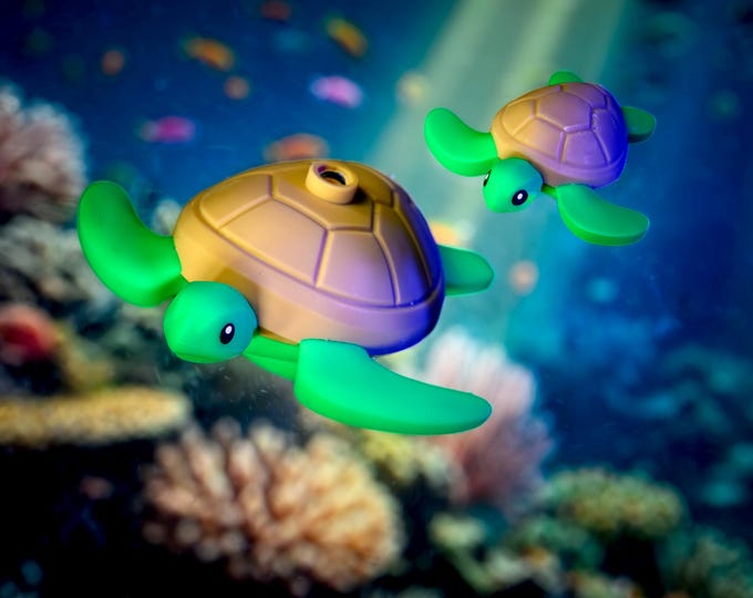 Sea Turtles