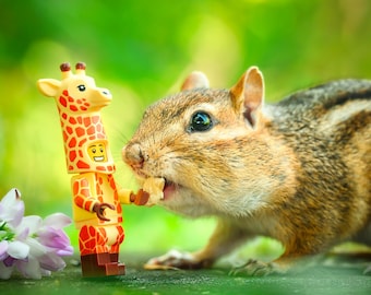 Giraffe and Chipmunk Friends