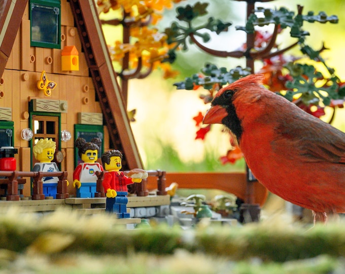 A Frame Cardinal