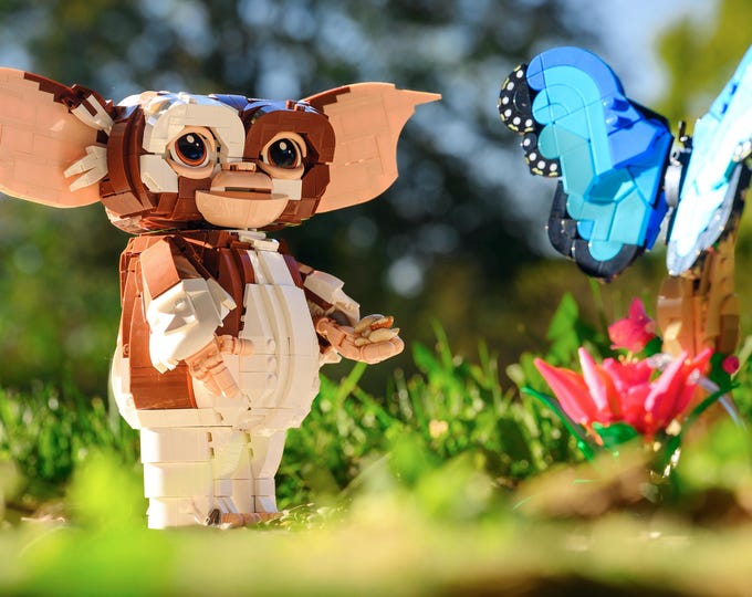 Gizzy and the Butterfly