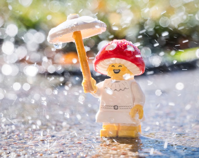 Play in the Rain (fine art print)