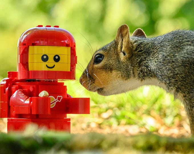 Space Baby and the Squirrel