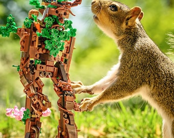 The Ent and the Squirrel