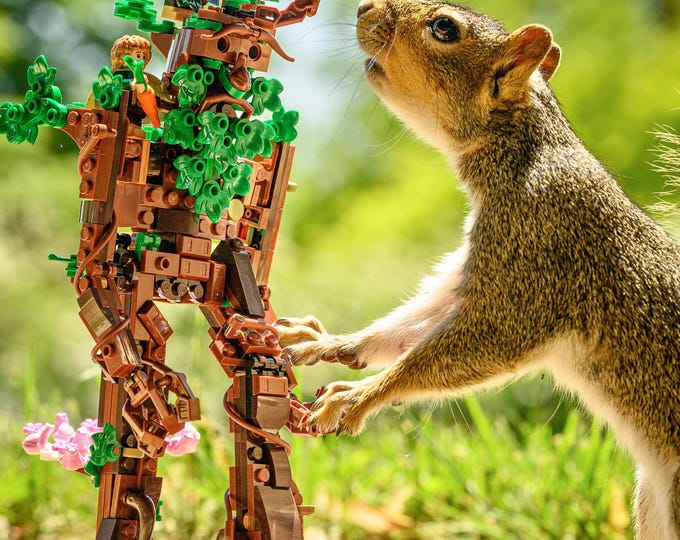 The Ent and the Squirrel