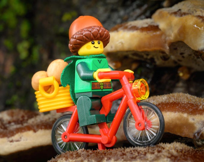 Farm to Table Delivery Service