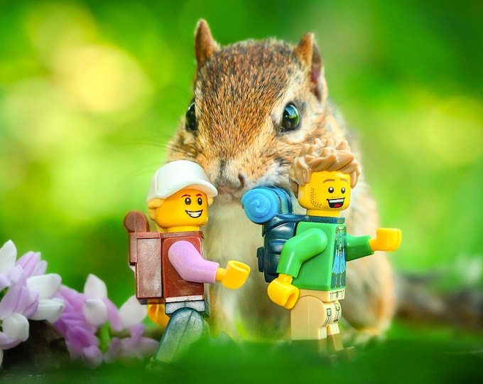Chipmunk Surprise