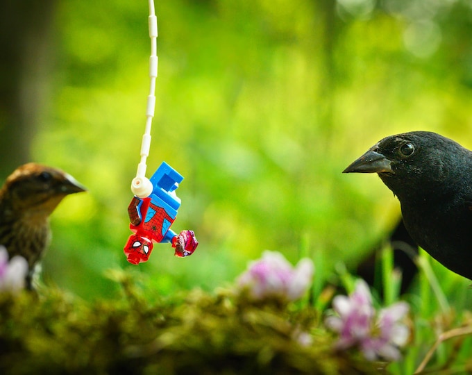 Web-Slinger in the Woods