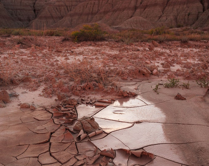 Dried Up (fine art print)