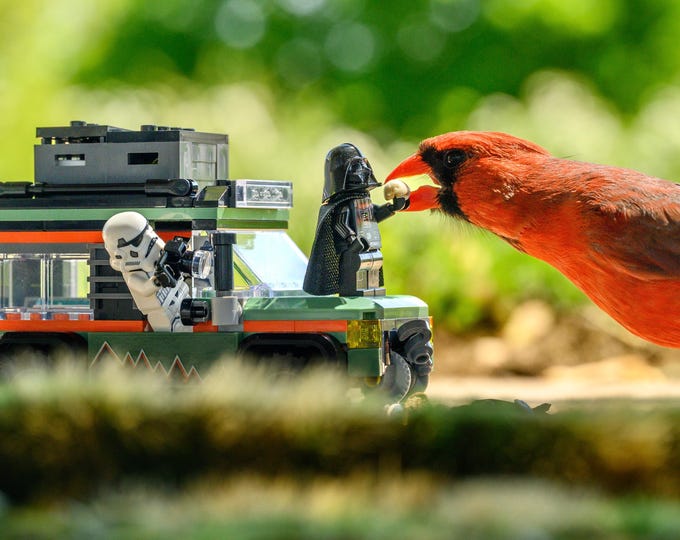Darth Cardinal
