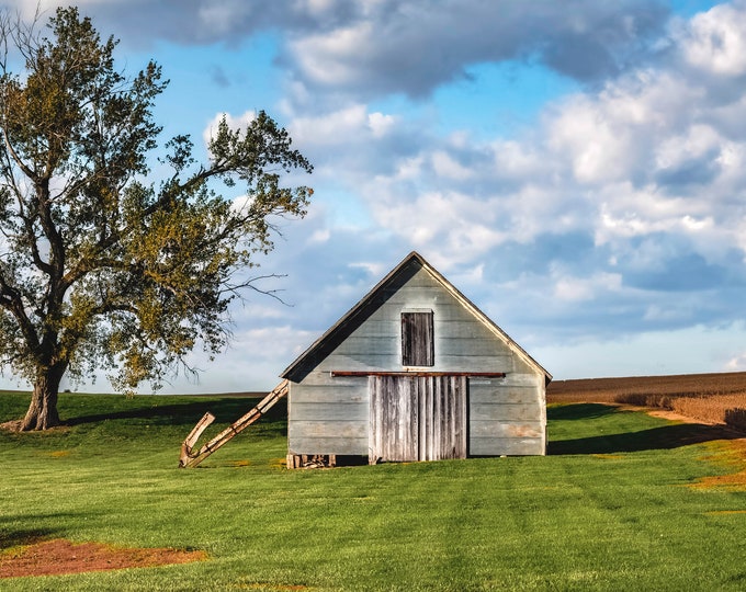 The Blue Barn Panorama