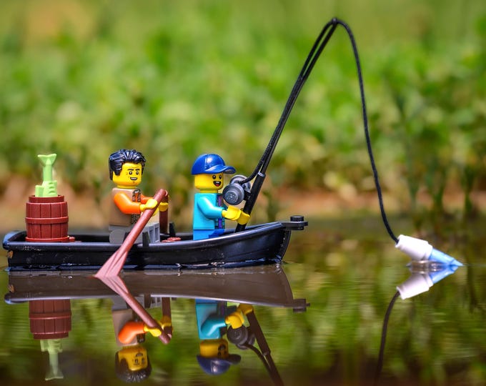 The Fishing Trip
