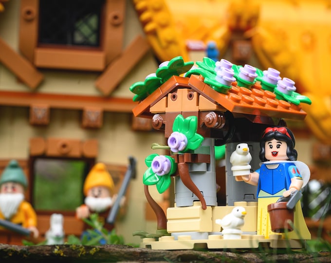 Dwarf Princess Well