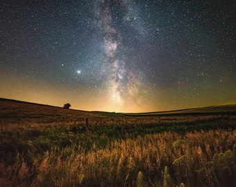 A Field of Stars (fine art print)