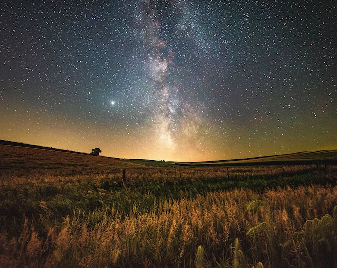 A Field of Stars (fine art print)