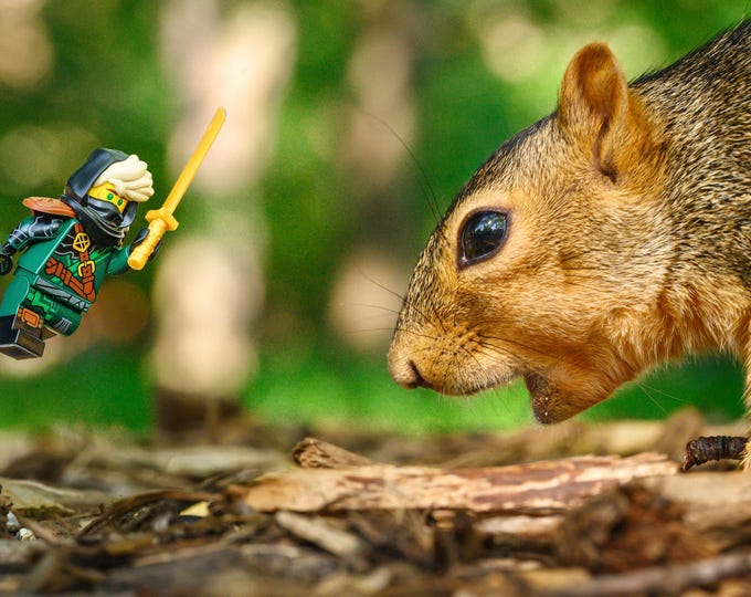 Ninjago Vs Squirrel 2