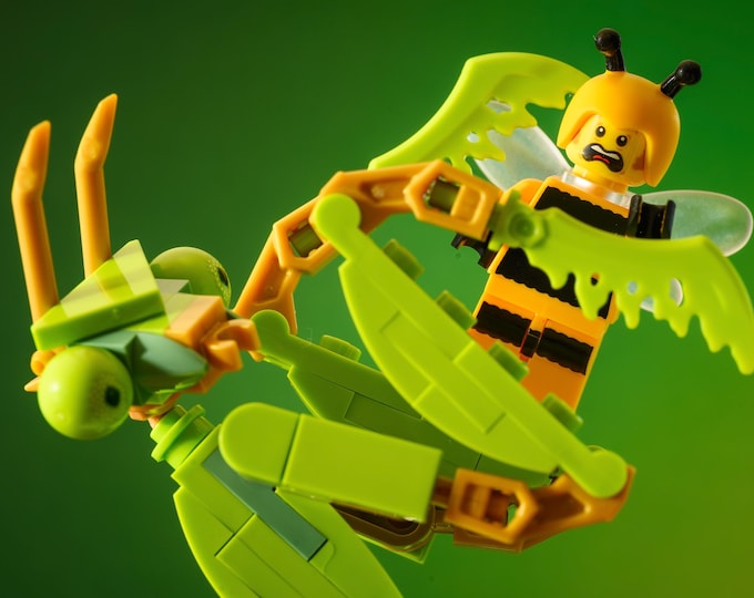 Bumblebee Snack