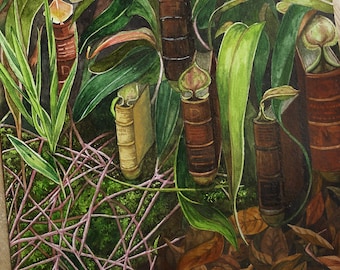Old book pitcher plant art print, A5 size, plant illustration, magical plant, fantasy art, imagination art, wonderland art