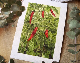 Chilli Circus Giclée Art Print, A5 Botanical Illustration