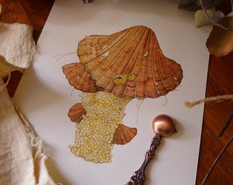 Shell mushroom - Scallop art print,