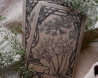 Queen Anne's Lace Seed Packet / envelope, Instant download, Seed Envelope, Printable seed packet, Garden supply, DIY, Seed Storage