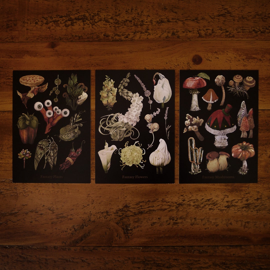 Dark Fantasy Postcard Set A6 / Set of 3 Postcards, Illustrated , Dark ...