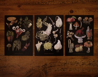 Dark fantasy postcard set A6 / Set of 3 postcards, illustrated , dark academia, fantasy world, botanical, fairytale postcards