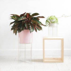 Plexiglass Clear Plant Stand, Acrylic Floating Indoor Plant Stand, Modern Stand, Housewarming gift 7 X 9 OR 9.5 X 14 image 1