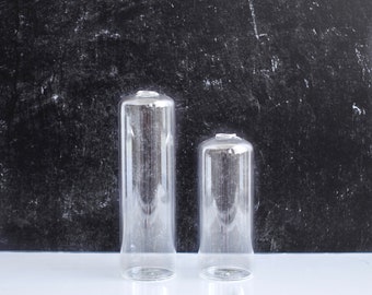 Clear Glass Bud Vase Set | Modern Glass Vases