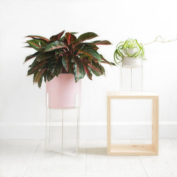 Plexiglass Clear Plant Stand Acrylic Floating Indoor Plant Stand