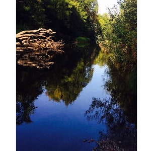 Op de afbeelding: Een stille, blauwe rivier reflecteert de omringende bomen en het gebladerte. Het water is kalm en helder, met een lichte rimpel in het midden. De bomen zijn groen en weelderig, met enkele takken die tot aan de waterkant reiken.
