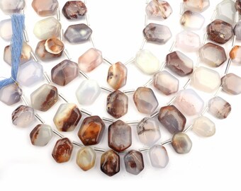 Natural Bio Chalcedony Beads: Smooth Hexagon Strand 8 Inch