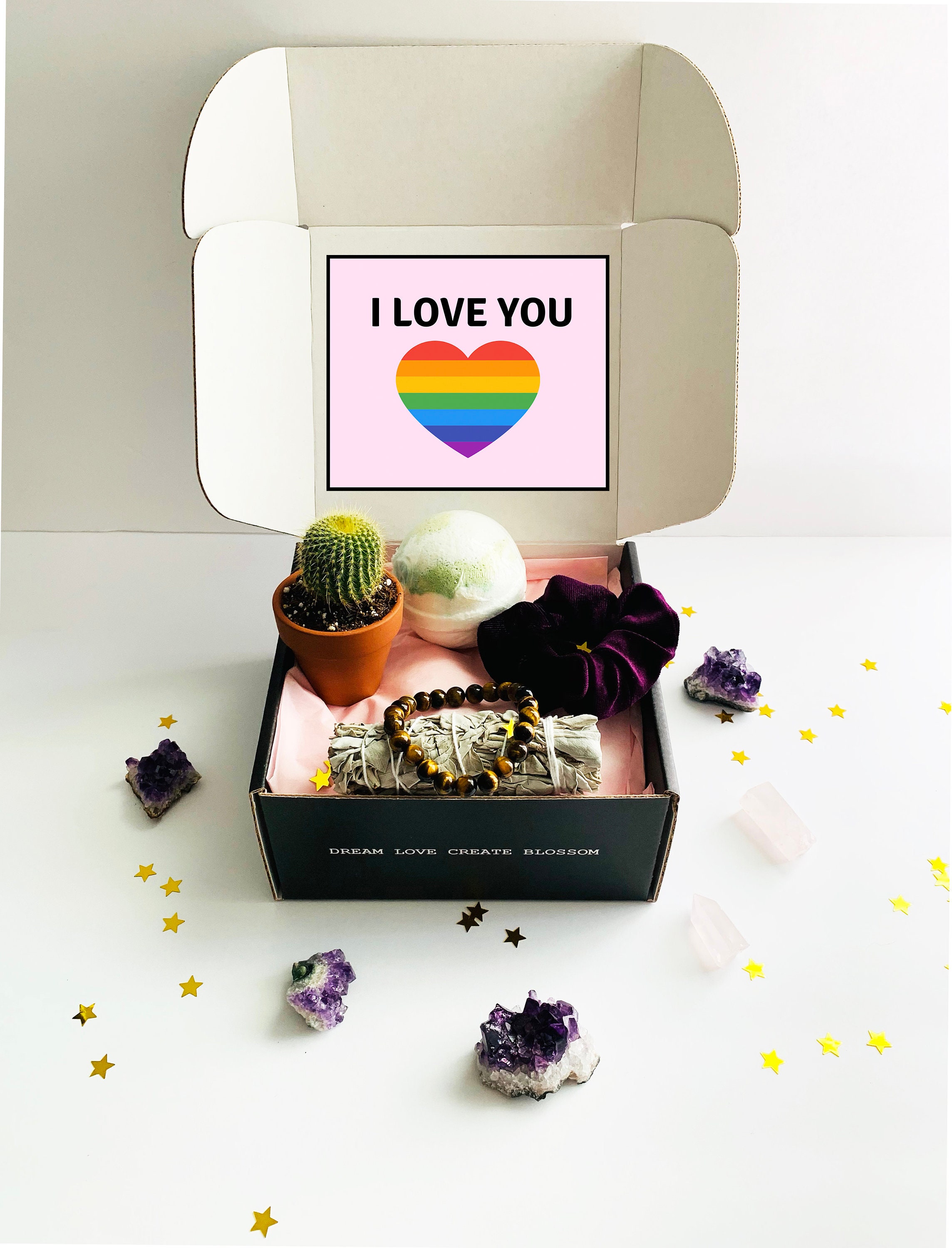 Pride Gift Box Lesbian Gift Gay Gift Succulent Gift Box Etsy