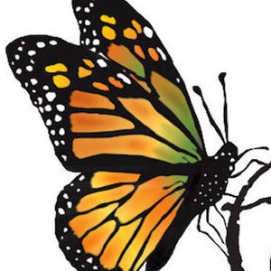 Op de afbeelding: Een grafische illustratie van een monarchvlinder met levendige oranje en gele vleugels, zwarte aders en zwart-witte stippen langs de randen. De vlinder is in profiel afgebeeld, zittend op een dunne, donkere, gebogen tak tegen een effen achtergrond.