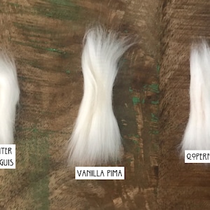 Op de afbeelding: Drie afzonderlijke plukjes witte ruwe katoenvezel naast elkaar gerangschikt. Elk plukje is voorzien van witte rechthoekige tekstlabels met de tekst Winter Tanguis, Vanilla Pima en Qoperfina, die de textuur en het uiterlijk van elke soort tonen.