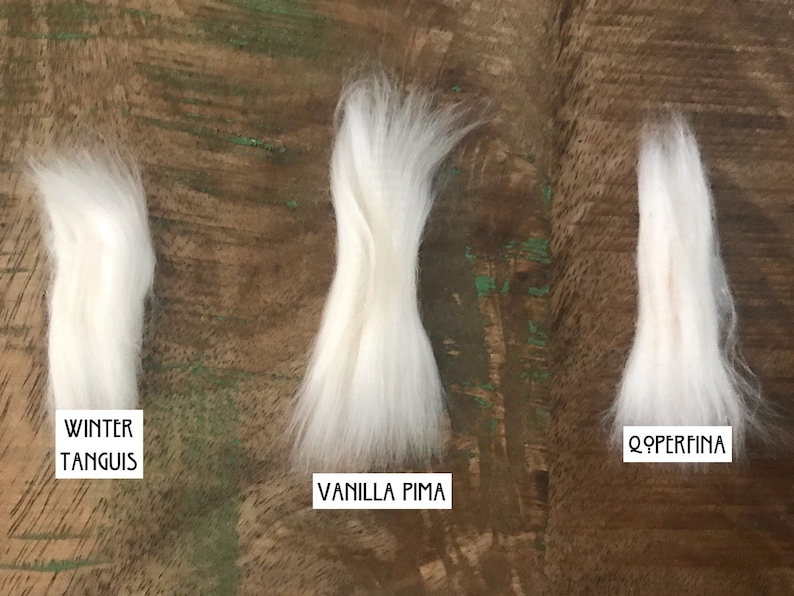 Op de afbeelding: Drie afzonderlijke plukjes witte ruwe katoenvezel naast elkaar gerangschikt. Elk plukje is voorzien van witte rechthoekige tekstlabels met de tekst Winter Tanguis, Vanilla Pima en Qoperfina, die de textuur en het uiterlijk van elke soort tonen.