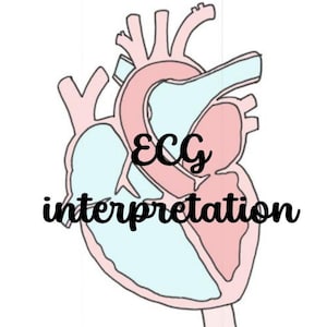 Peut inclure: Schéma anatomique d'un cœur humain, avec des sections roses et bleu clair, et le texte "ECG interpretation" en cursive. L'image est sur fond blanc, pour l'enseignement médical.