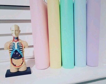 student planner ut 2023 student nurse diary