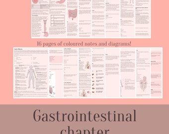 Critical Care Nursing: Gastrointestinal Notes & Illustrations (Digital Download)