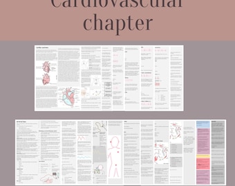 Critical Care Nursing: Cardiovascular Chapter (Digital Download)