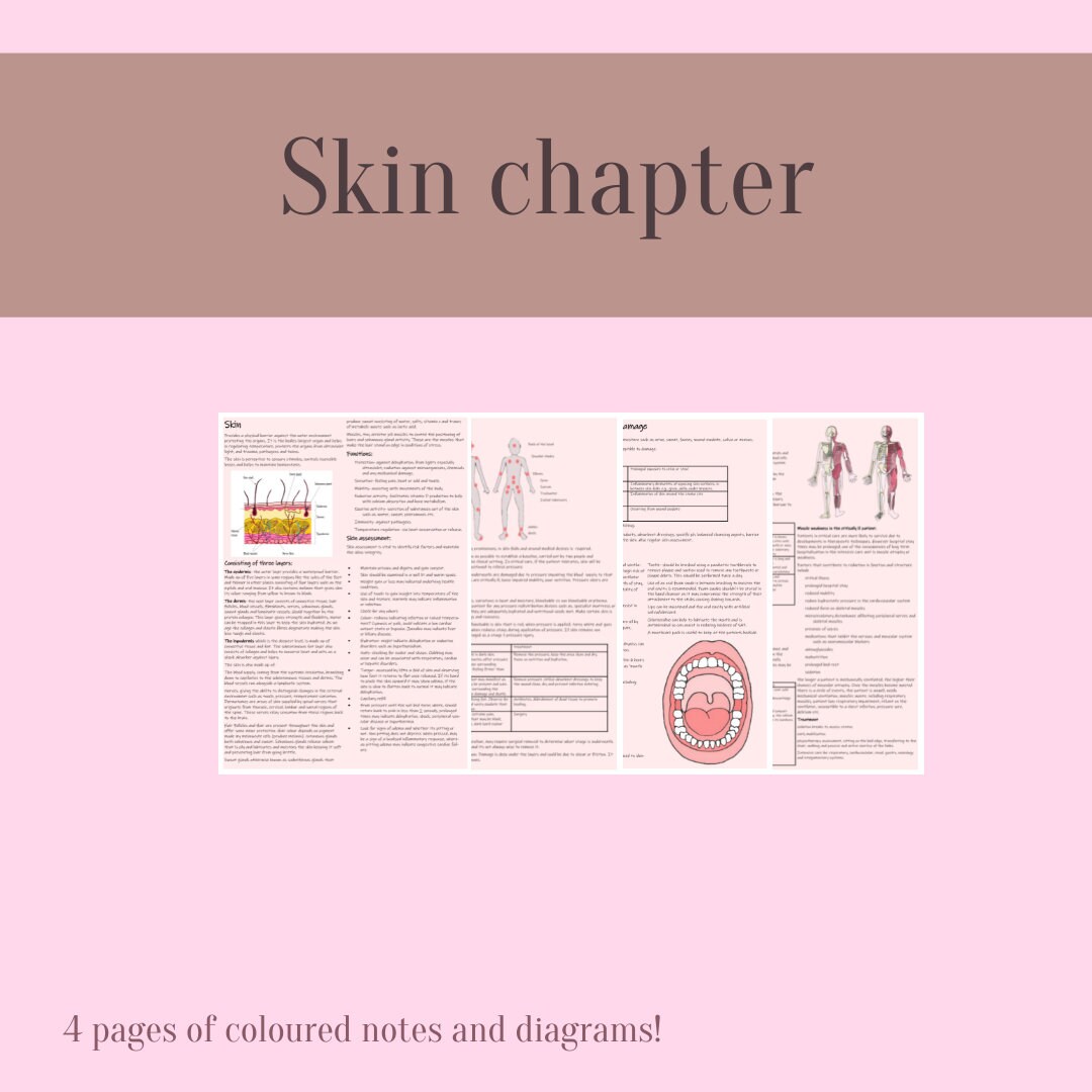 Nursing: Skin Chapter - Study Notes & Illustrations (digital Download ...