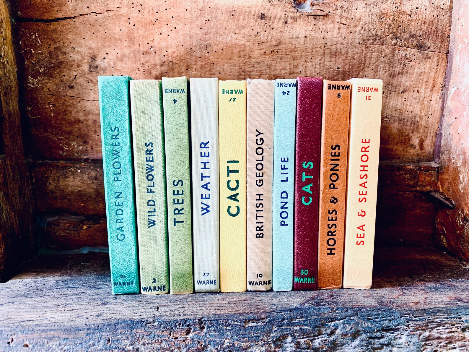 Vintage Observer Pocket Books / Old Reference Books / Kids Etsy