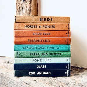 May include: A vertical stack of nine hardcover books with textured covers in shades of tan, orange, teal, green, light blue, and dark blue. Each spine features black text including titles like Birds, Horses & Ponies, Furniture, and Zoo Animals.