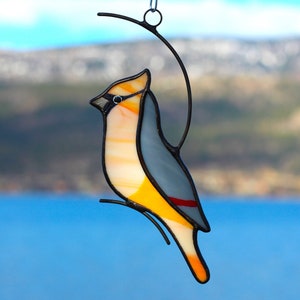 Cedar Waxwing stained glass, Waxwing suncatcher, Window hanging, Mothers day Gift