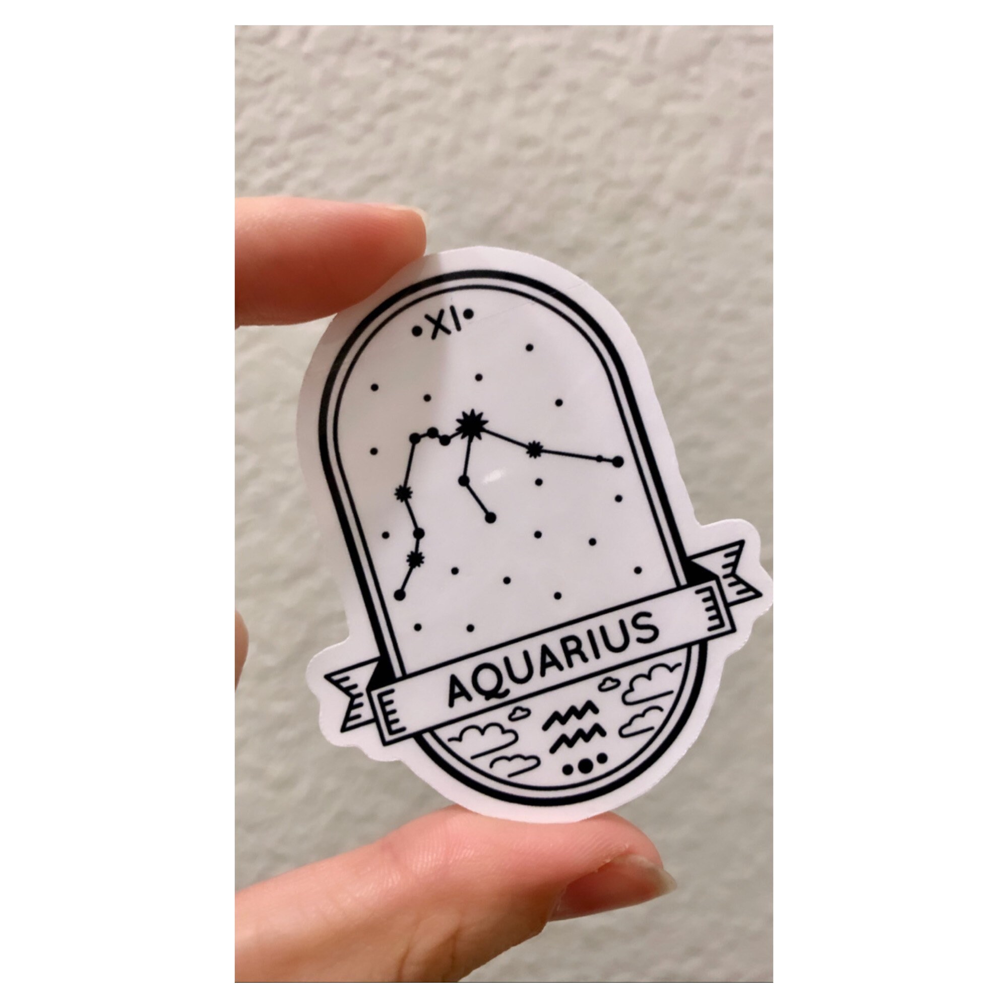 Zodiac Sign Stickers/Sticker/Capricorn/Aquarius/Pisces/Aries/Taurus/G…