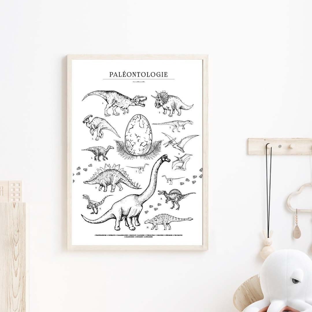 Illustration Dinosaures