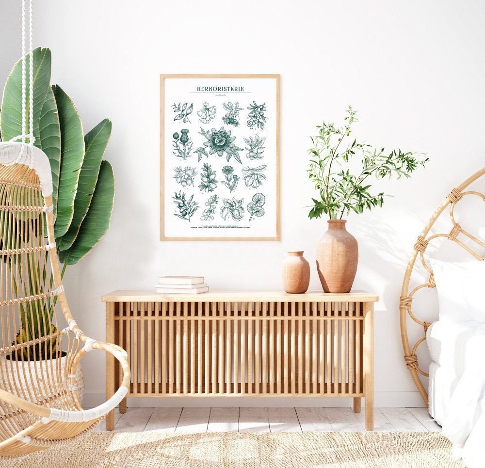 Illustration Herboristerie