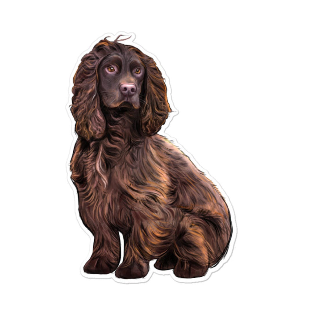 Boykin Spaniel Dog Sticker Etsy