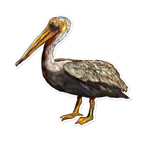 Louisiana State Bird Pelican Sticker