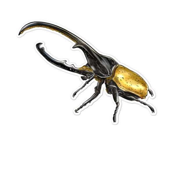 Hercules Beetle Side Sticker